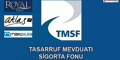 TMSF 2 şirketi satışa çıkardı